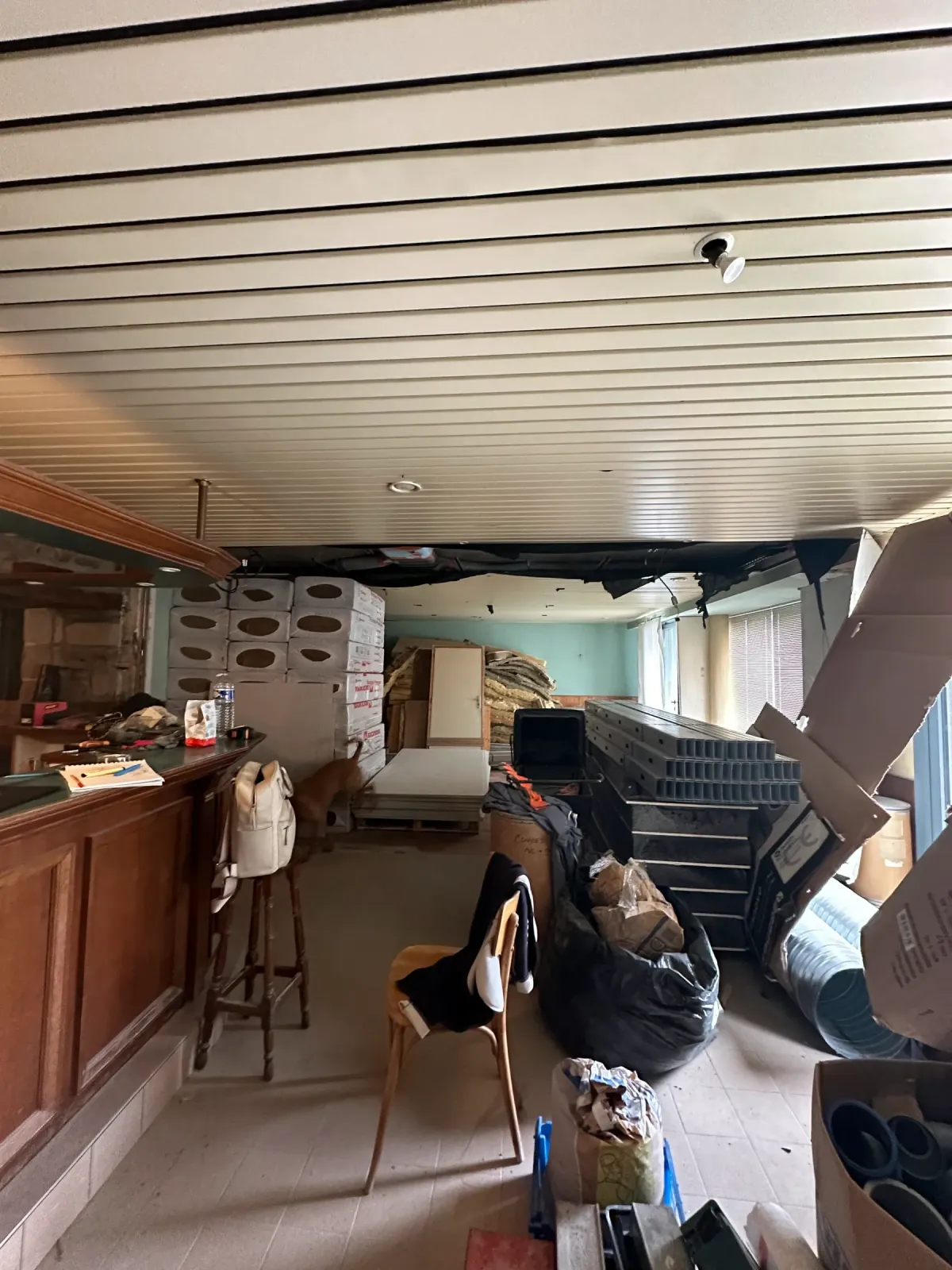 Cave & Bar à Vin à Plumelec - Avant rénovation (6)